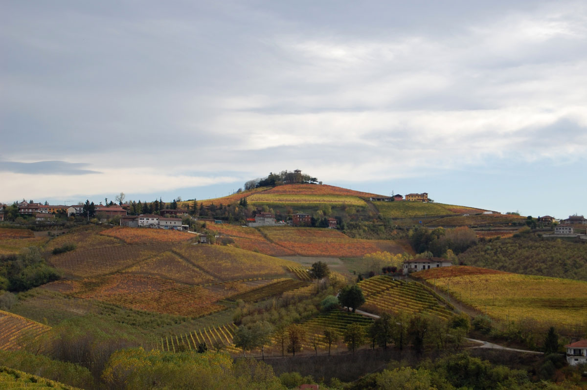 MARCHESI DI GRESY | Our Producers | Dalla Terra