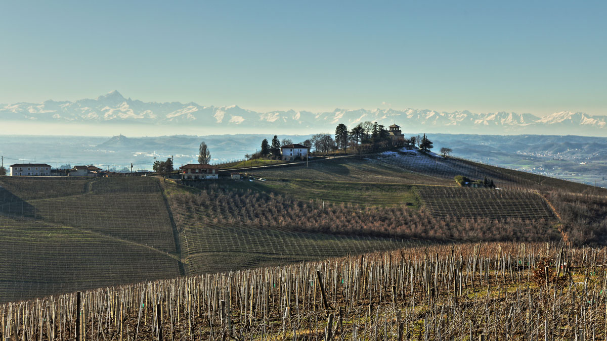 MARCHESI DI GRESY | Our Producers | Dalla Terra