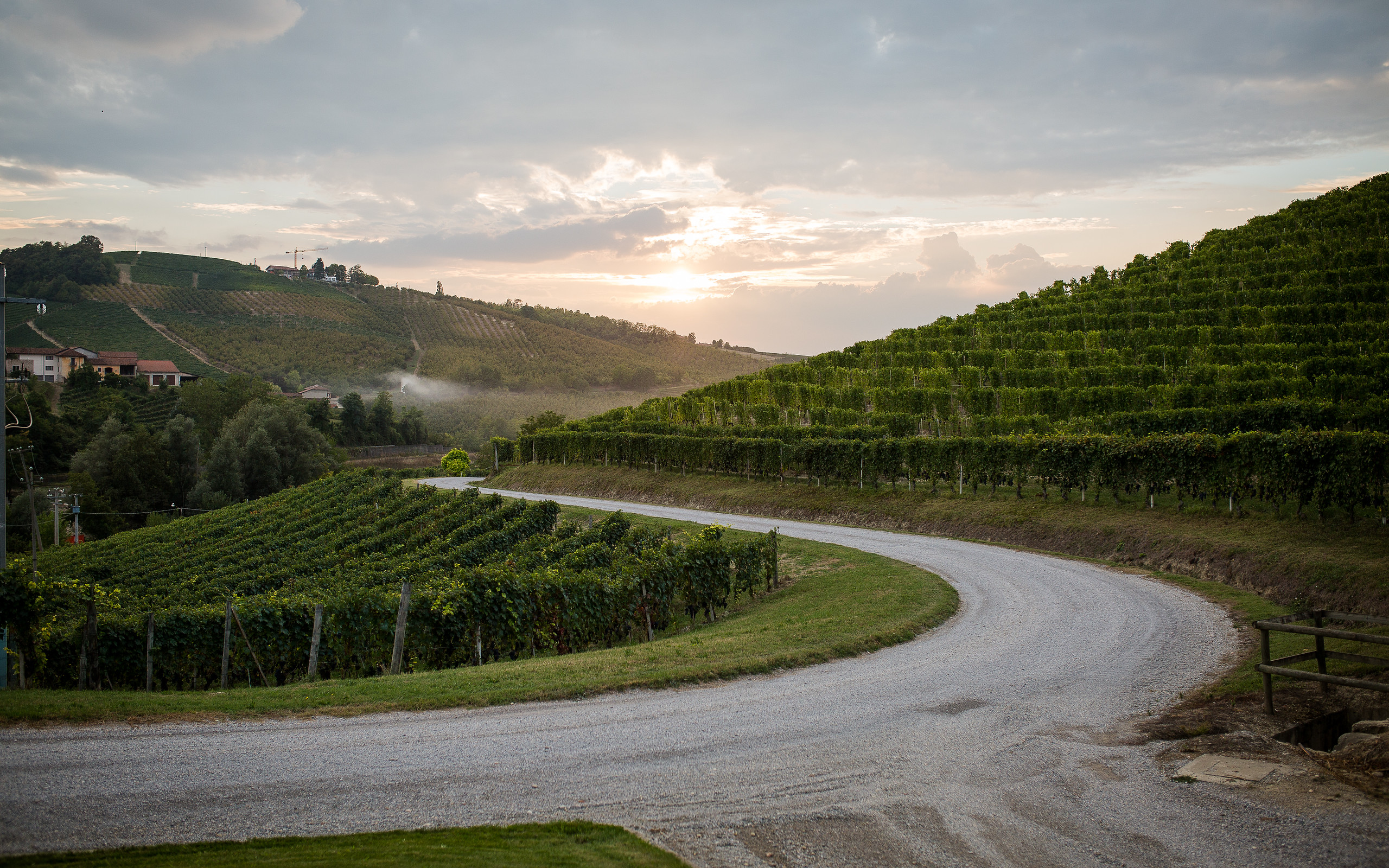 MARCHESI DI GRESY | Our Producers | Dalla Terra